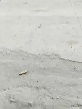 Monster Bigdick online show from 12-07-24, 10:56