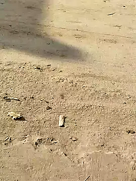 Monster Bigdick online show from 12-08-24, 03:32