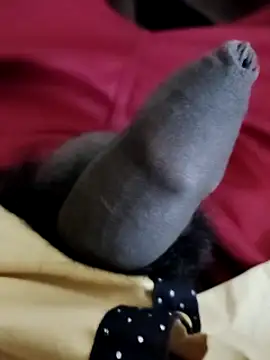 Snapshot of Ashish02345 chatting on 12-06-24, 06:50 Ashish02345 online show from 12-06-24, 06:50