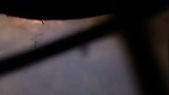 Cordt30 online show from 02-12-26, 04:46