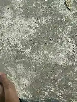 rana cute online show from 02-05-25, 08:21