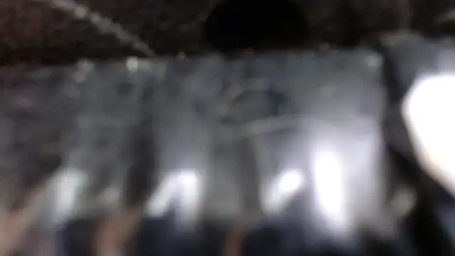 SaraMartins00 online show from 12-14-24, 09:45