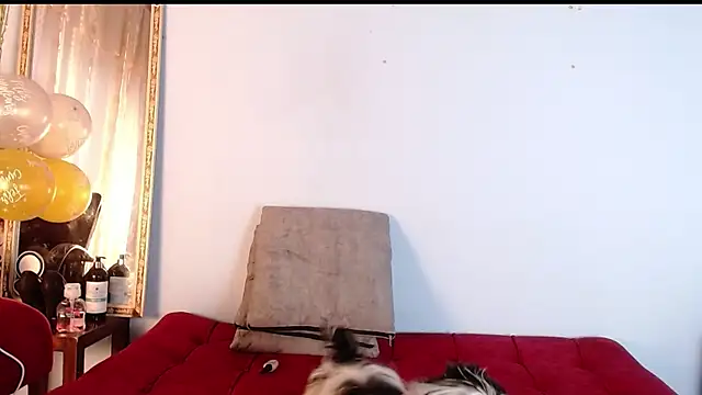 Snapshot of Tamararios chatting on 11-27-25, 10:01 Tamararios online show from 11-27-25, 10:01