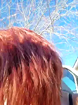 Snapshot of Dixiefaye_Pika chatting on 12-19-24, 08:13 Dixiefaye Pika online show from 12-19-24, 08:13