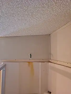 Snapshot of Dixiefaye_Pika chatting on 02-18-25, 06:15 Dixiefaye Pika online show from 02-18-25, 06:15