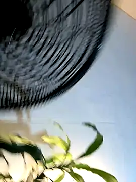  Miguel100 online show from 11-06-25, 02:56