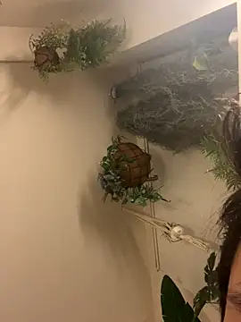 IroManager online show from 09-15-25, 01:44