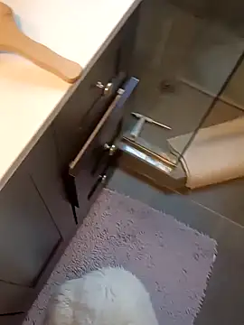 massive cum online show from 04-05-26, 01:52