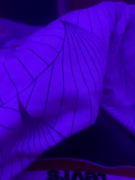 Snapshot of Maxxxooouuu chatting on 03-01-26, 08:11 Maxxxooouuu online show from 03-01-26, 08:11