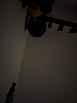 Kylie2211 online show from 12-15-25, 11:47