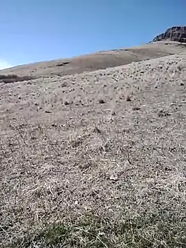 rockpimp online show from 03-09-26, 06:56