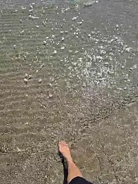 SexyErola27 online show from 03-24-26, 12:32