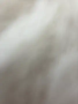 NewLale online show from 01-27-25, 06:30