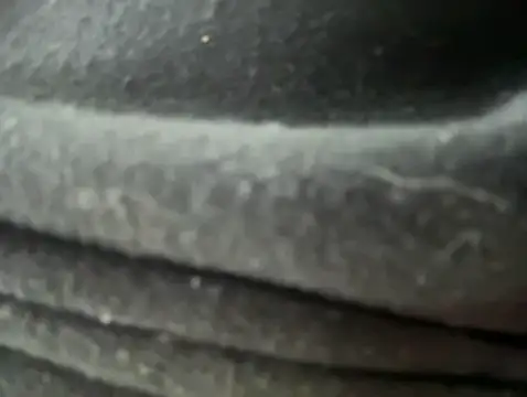 Mila Morgan online show from 01-30-25, 12:18