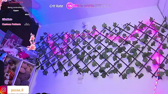 Pucaa  online show from 01-28-25, 12:57