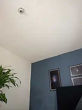 SilvaBranko online show from 10-26-25, 10:04