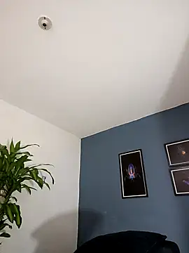 SilvaBranko online show from 11-09-25, 01:04