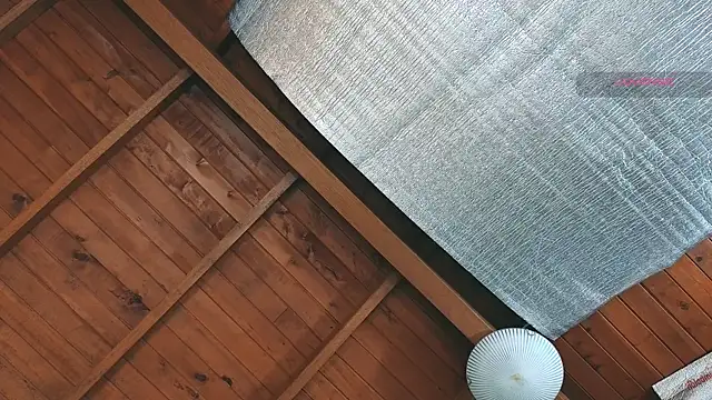 SilvaBranko online show from 03-27-26, 09:03