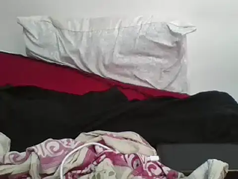 Snapshot of Whimsicalwillow chatting on 02-22-25, 01:13 Whimsicalwillow online show from 02-22-25, 01:13