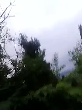 maleesa online show from 10-01-25, 05:13