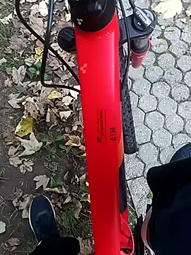 maleesa online show from 10-04-25, 05:16