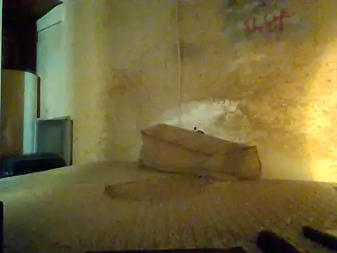 Nightshade7712 online show from 09-13-25, 07:57