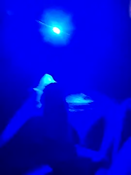 Snapshot of prcalek19 chatting on 11-20-25, 07:46 prcalek19 online show from 11-20-25, 07:46