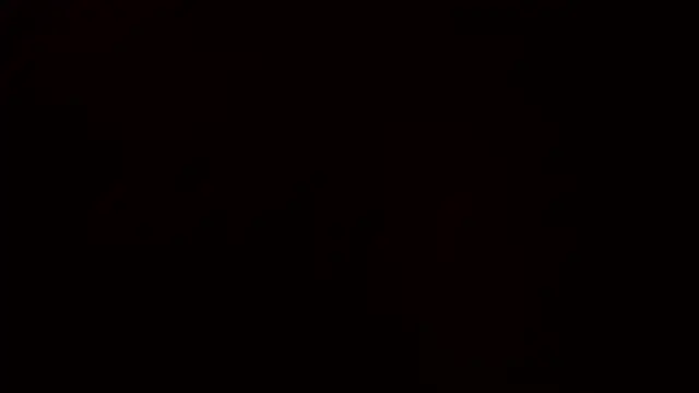 Snapshot of Ashinaga_oj chatting on 12-14-24, 10:24 Ashinaga oj online show from 12-14-24, 10:24