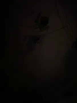 EnricoGio online show from 01-15-26, 01:21