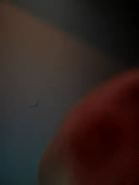 Snapshot of lolabun247 chatting on 11-02-25, 10:50 lolabun247 online show from 11-02-25, 10:50