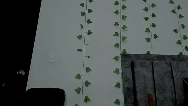 Miaa Garcia online show from 05-15-26, 11:01