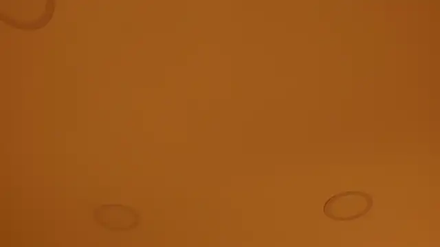 nakamura sam online show from 04-08-26, 10:04