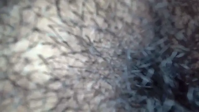 Snapshot of white_sexy_ chatting on 11-29-25, 11:41 white sexy online show from 11-29-25, 11:41