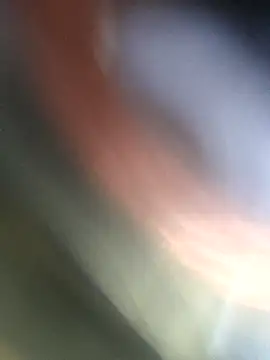 Snapshot of jasss-11 chatting on 11-04-25, 05:23 jasss-11 online show from 11-04-25, 05:23