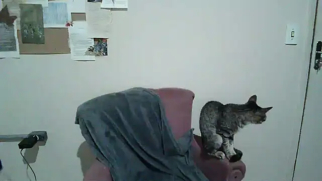 bbyedarling online show from 11-06-25, 01:50