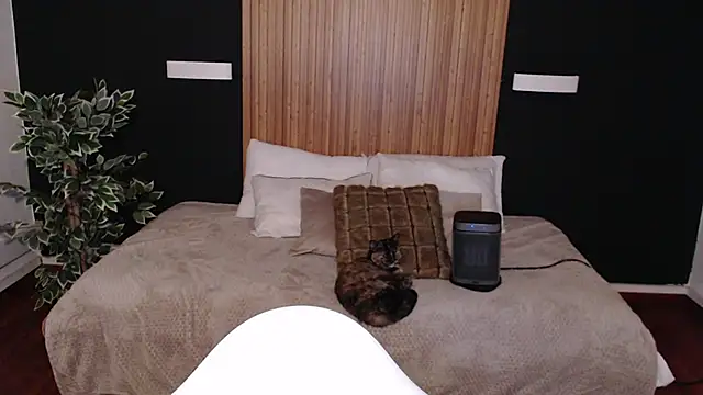 Snapshot of dafne_bss chatting on 03-06-25, 05:03 dafne bss online show from 03-06-25, 05:03