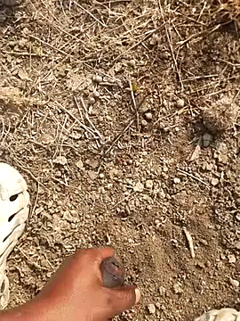 Snapshot of Ajith_mvi chatting on 02-18-26, 03:35 Ajith mvi online show from 02-18-26, 03:35