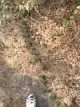 Ajith mvi online show from 03-21-26, 11:37