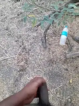 Ajith mvi online show from 04-17-26, 01:19