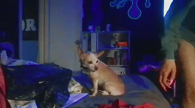 Snapshot of watermellonpussy chatting on 12-28-24, 05:55 watermellonpussy online show from 12-28-24, 05:55