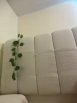 Megan Rodrigo online show from 04-06-26, 12:50