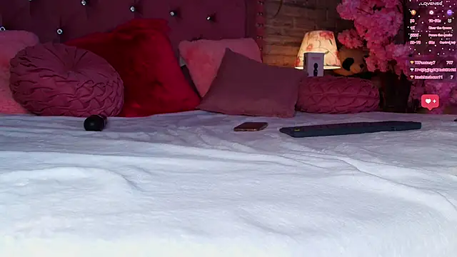 AuroraSim online show from 02-20-25, 04:14