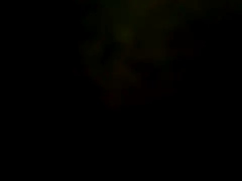 pinnklinkk online show from 01-19-25, 08:29