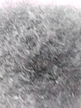 Snapshot of littlebrunett chatting on 12-13-24, 02:27 littlebrunett online show from 12-13-24, 02:27