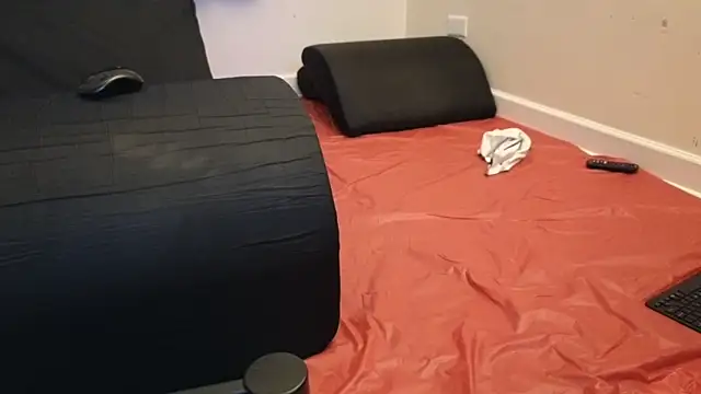 pantslesstraveler plt online show from 02-03-25, 01:52