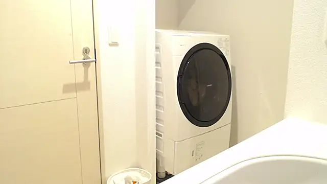 Kakushi dori online show from 12-16-24, 05:00