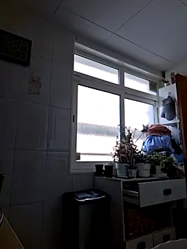 Javier bear online show from 11-22-25, 10:14