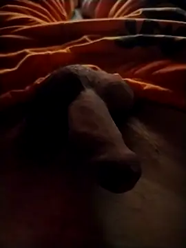 Snapshot of Luiz_097 chatting on 09-13-25, 06:46 Luiz 097 online show from 09-13-25, 06:46