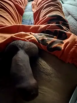 Snapshot of Luiz_097 chatting on 09-23-25, 06:49 Luiz 097 online show from 09-23-25, 06:49