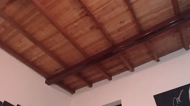 seleneh online show from 03-10-25, 09:40